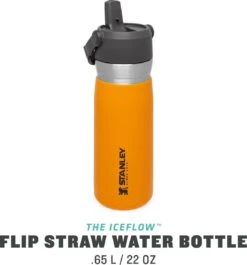 Stanley The IceFlow™ Flip Straw Water Bottle 0,65L - Thermosfles - Saffron -Brita Shop 1120x1200