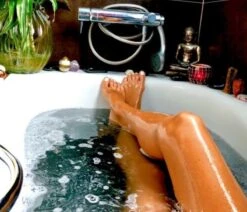 1000g Shungiet Shungite Stenen Voor Water En Ontstoring -Brita Shop 1200x1029