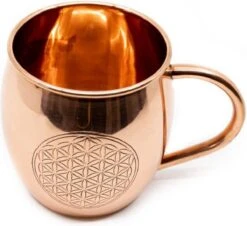 Koperen Beker Flower Of Life Geëtst (470 Ml) 9 Koperen Beker Flower Of Life Geëtst (470 Ml) -Brita Shop 1200x1097