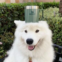 Stanley The Legendary Camp Mug 0,35L - Beker - Hammertone Green -Brita Shop 1200x1199 3