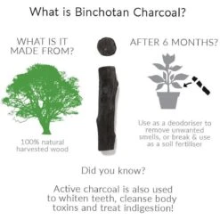 Black + Blum Binchotan Active Charcoal For Eau Good Water Bottles 4-pack -Brita Shop 1200x1200 278