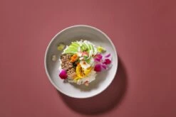 Palmer Serviesset Sandy Loam Stoneware 6-persoons 24-delig Grijs 30 Palmer Serviesset Sandy Loam Stoneware 6-persoons 24-delig Grijs -Brita Shop 1200x800 97