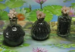 1000g Shungiet Shungite Stenen Voor Water En Ontstoring -Brita Shop 1200x832