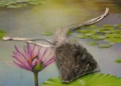 1000g Shungiet Shungite Stenen Voor Water En Ontstoring -Brita Shop 1200x853 1