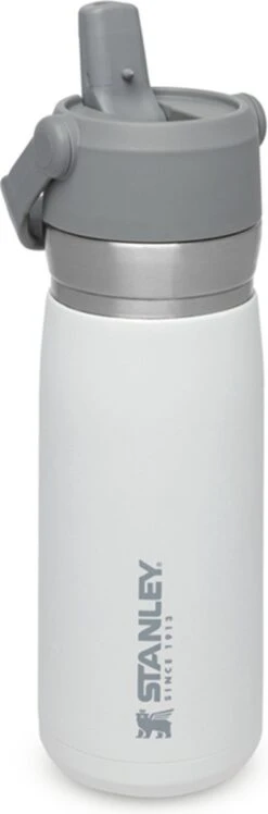 Stanley The IceFlow™ Flip Straw Water Bottle 0,65L - Thermosfles - Charcoal -Brita Shop 396x1200 2