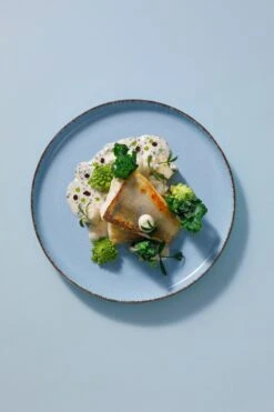 Palmer Serviesset Antigo Porselein 6-persoons 24-delig Lichtblauw 17 Palmer Serviesset Antigo Porselein 6-persoons 24-delig Lichtblauw -Brita Shop 800x1200 60