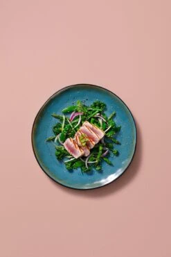 Palmer Serviesset Lotus Stoneware 6-persoons 24-delig Zwart Turquoise 25 Palmer Serviesset Lotus Stoneware 6-persoons 24-delig Zwart Turquoise -Brita Shop 801x1200 4